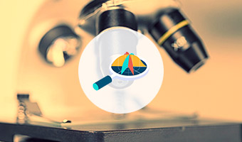 ��������������ְλ